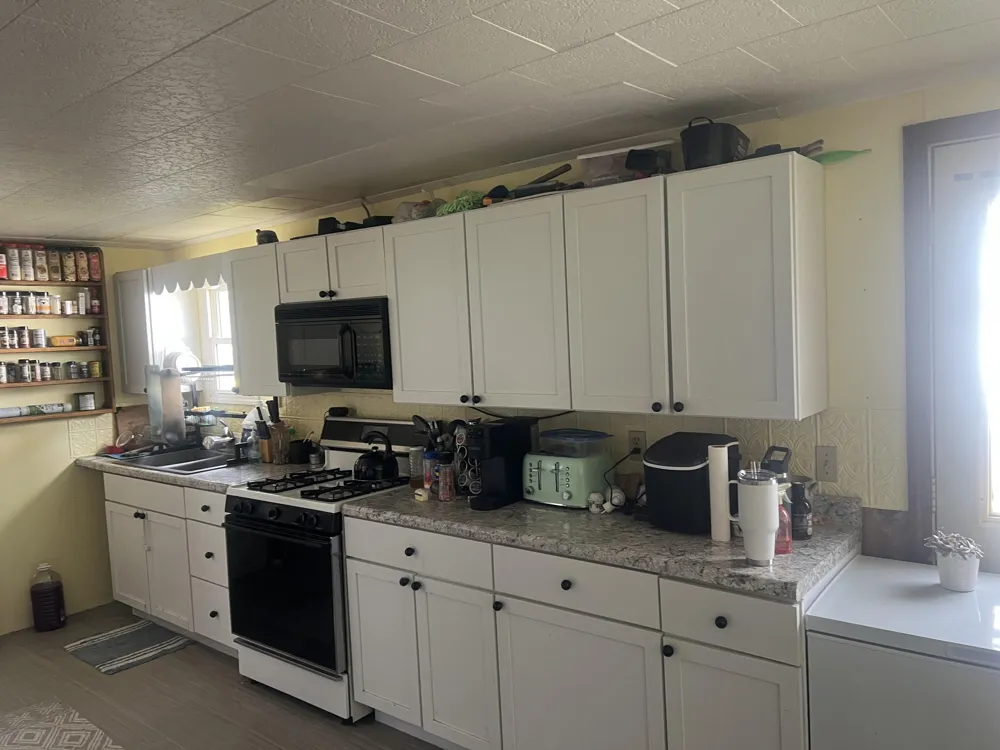228 W Forest Street Edmore, MI 48829