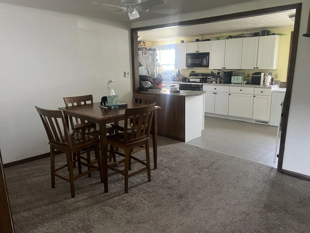 228 W Forest Street Edmore, MI 48829