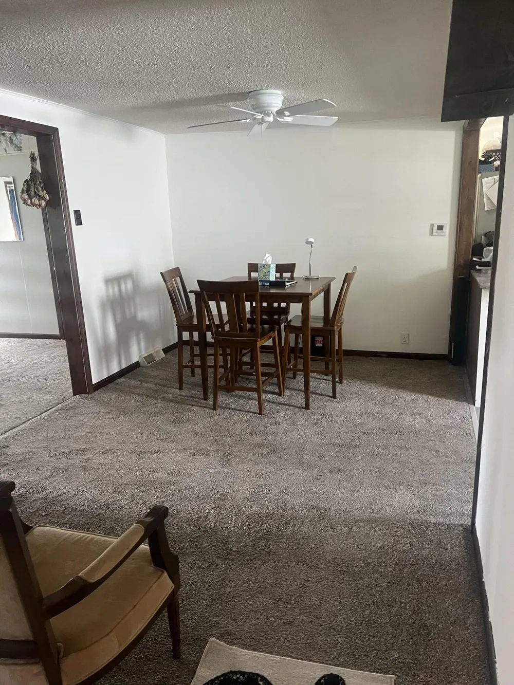 228 W Forest Street Edmore, MI 48829