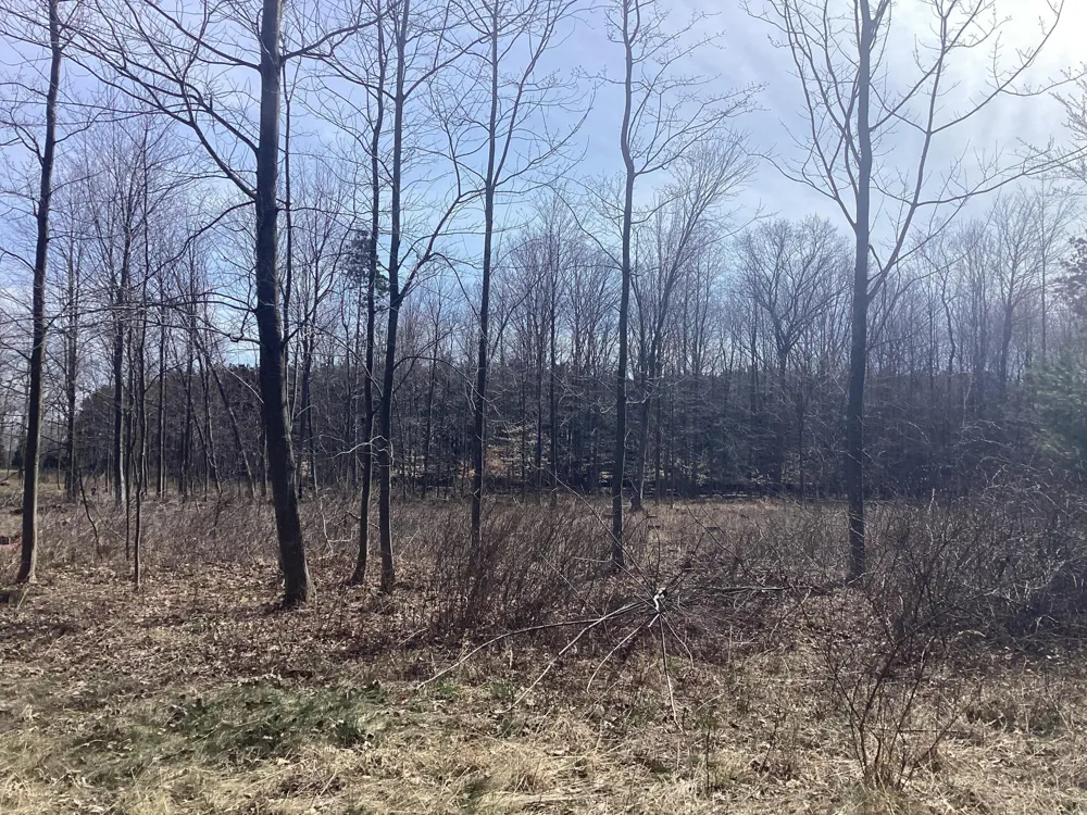 34th Avenue Mears, MI 49436