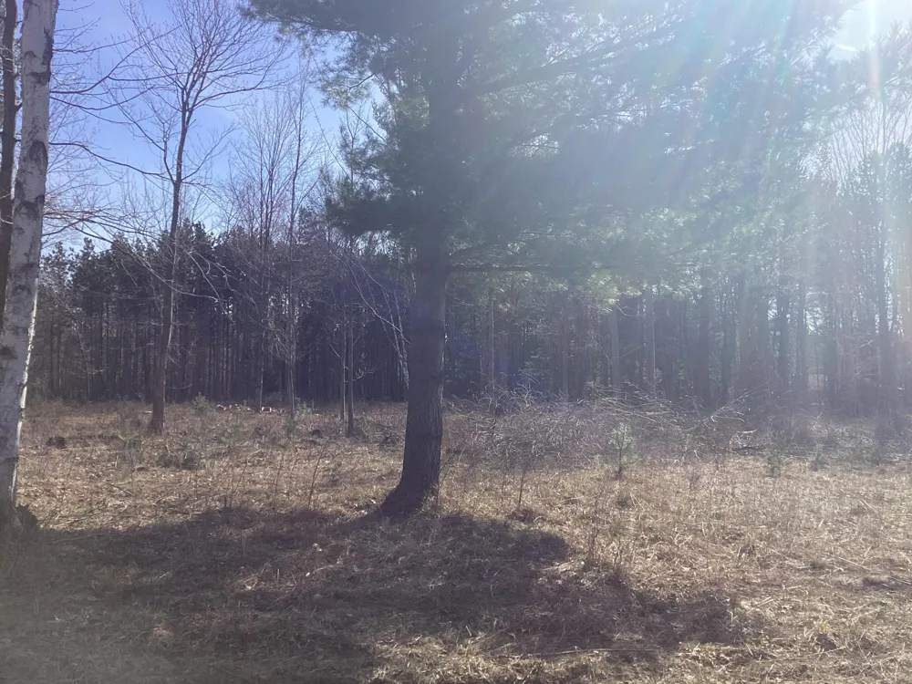 34th Avenue Mears, MI 49436