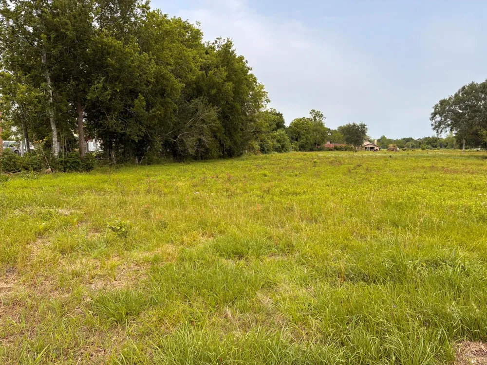 2933 Indiana Street Fresno, TX 77545