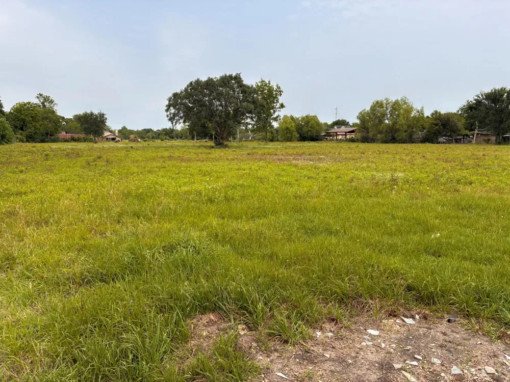 2933 Indiana Street Fresno, TX 77545