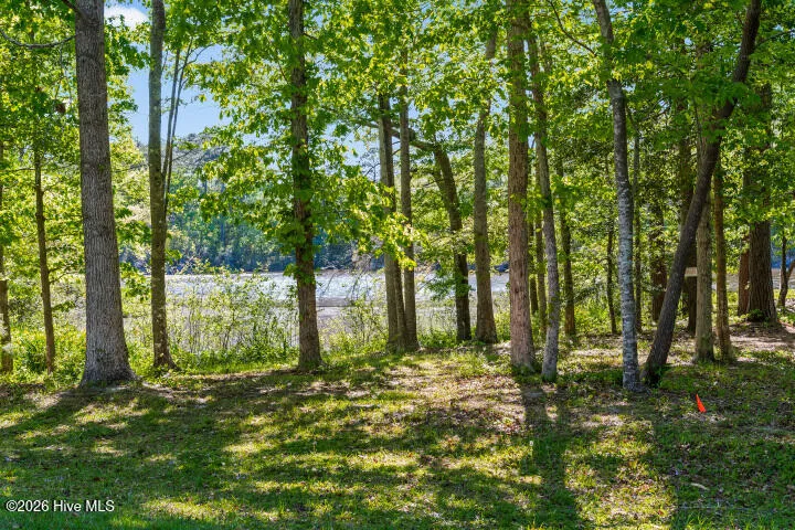519 Country Club Drive W Arapahoe, NC 28510