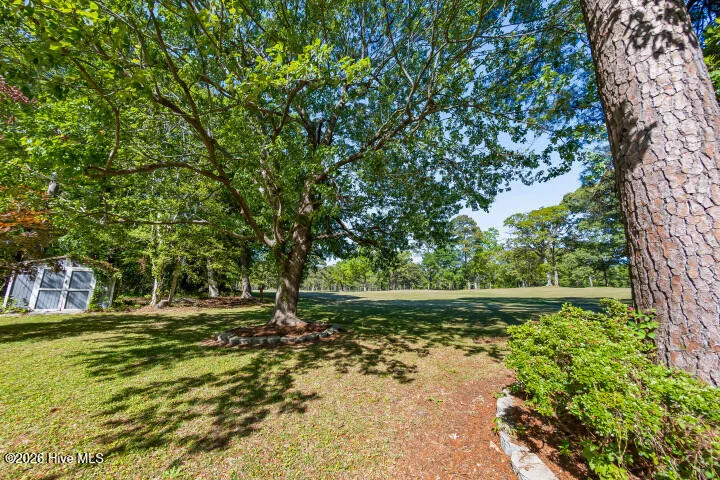 519 Country Club Drive W Arapahoe, NC 28510