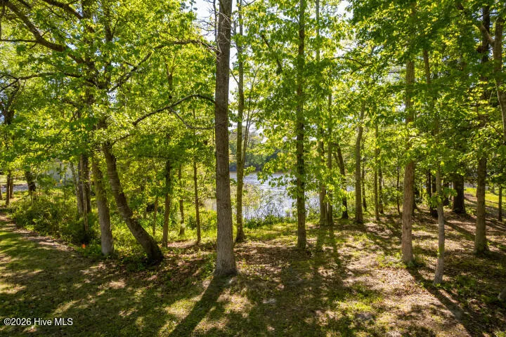 519 Country Club Drive W Arapahoe, NC 28510