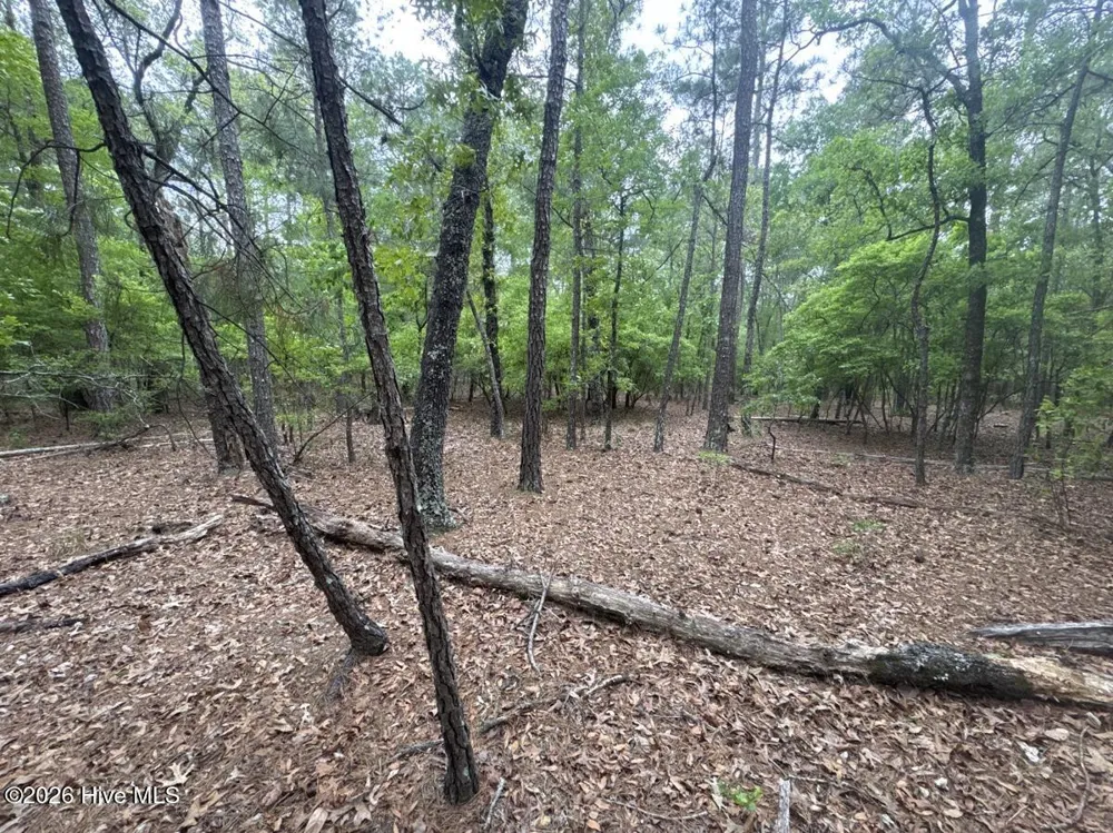 5, 6, 7 53 Off Highway Atkinson, NC 28421