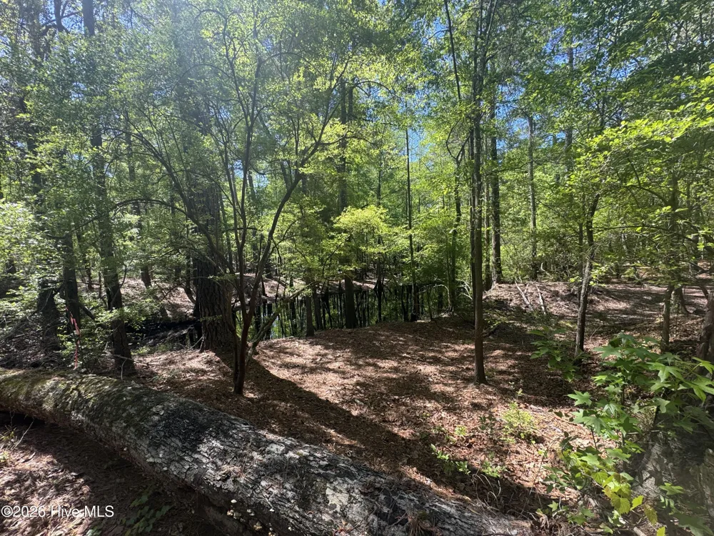 5, 6, 7 53 Off Highway Atkinson, NC 28421