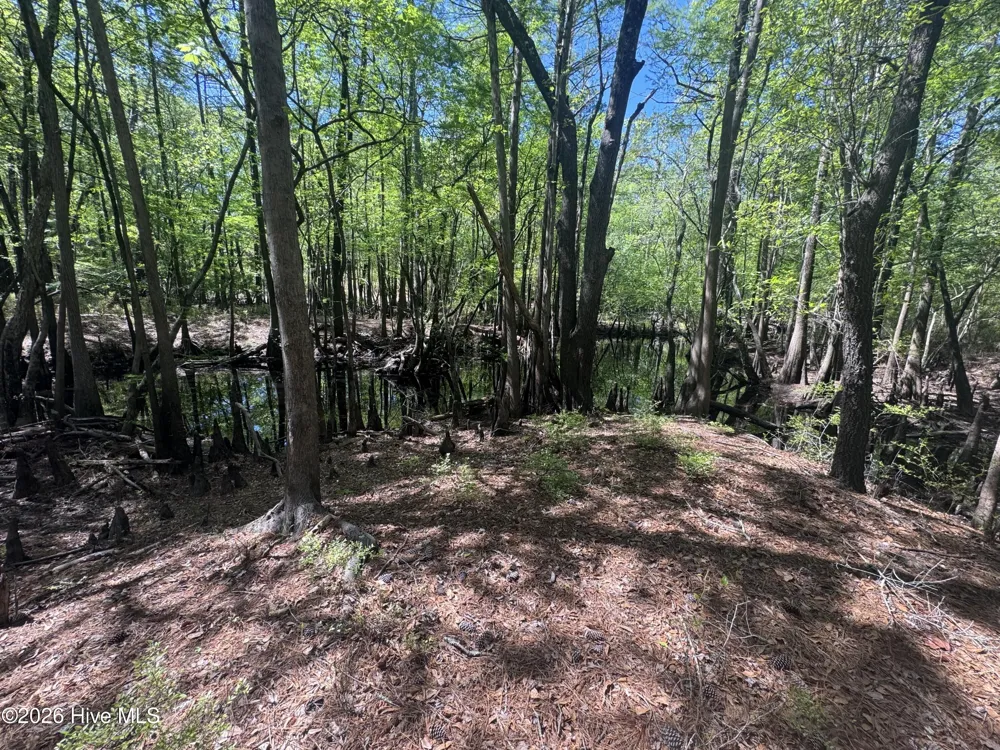 5, 6, 7 53 Off Highway Atkinson, NC 28421
