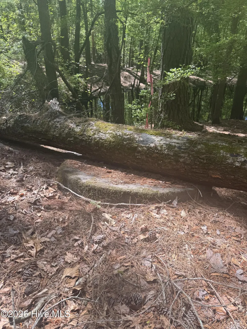 5, 6, 7 53 Off Highway Atkinson, NC 28421