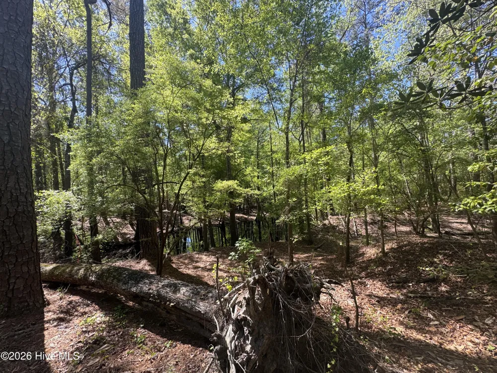 5, 6, 7 53 Off Highway Atkinson, NC 28421