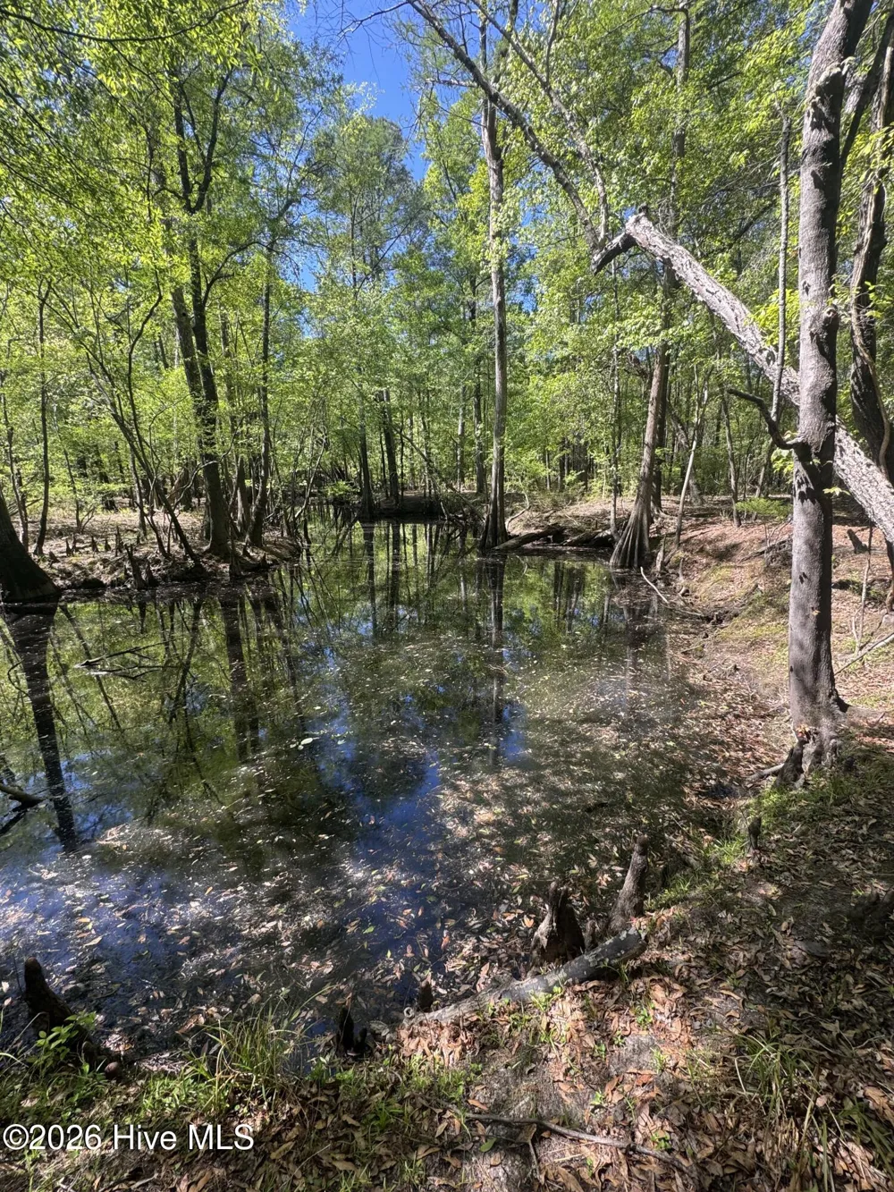 5, 6, 7 53 Off Highway Atkinson, NC 28421