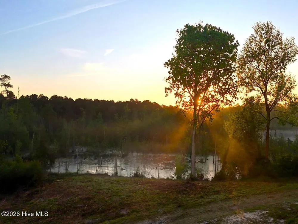 0 Durwood Evans Road Beulaville, NC 28518