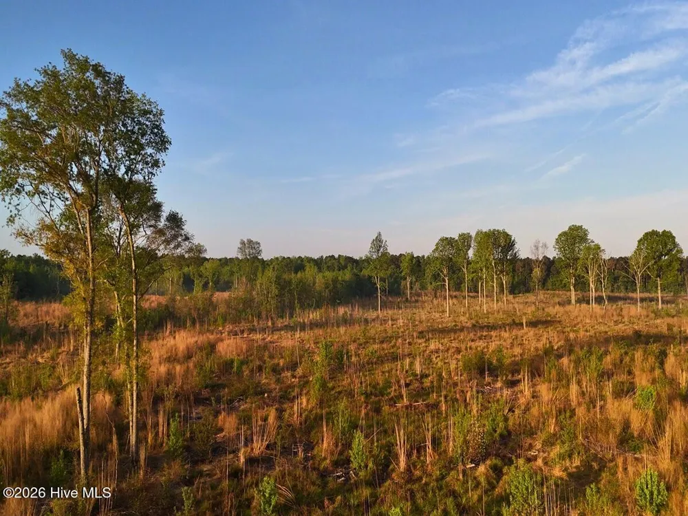 0 Durwood Evans Road Beulaville, NC 28518