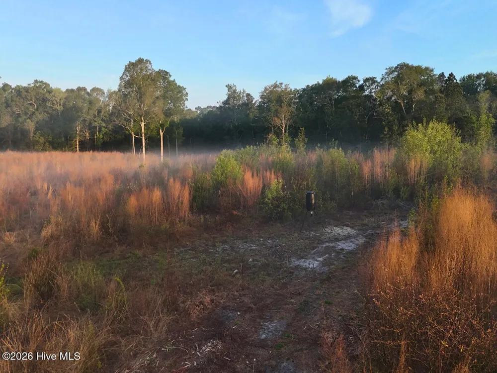 0 Durwood Evans Road Beulaville, NC 28518