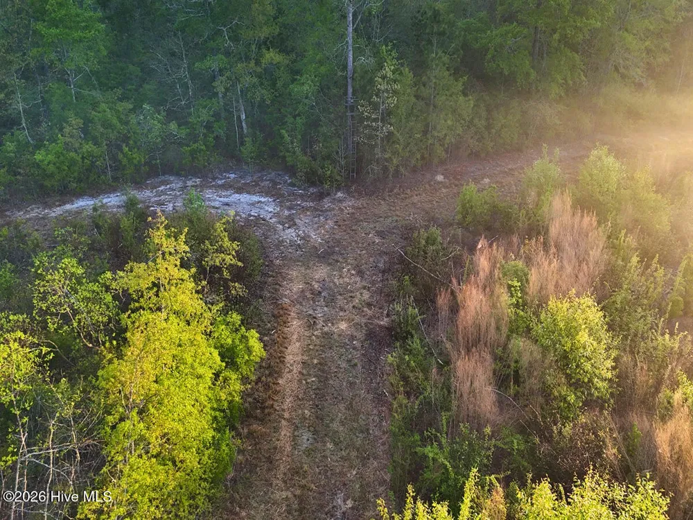 0 Durwood Evans Road Beulaville, NC 28518