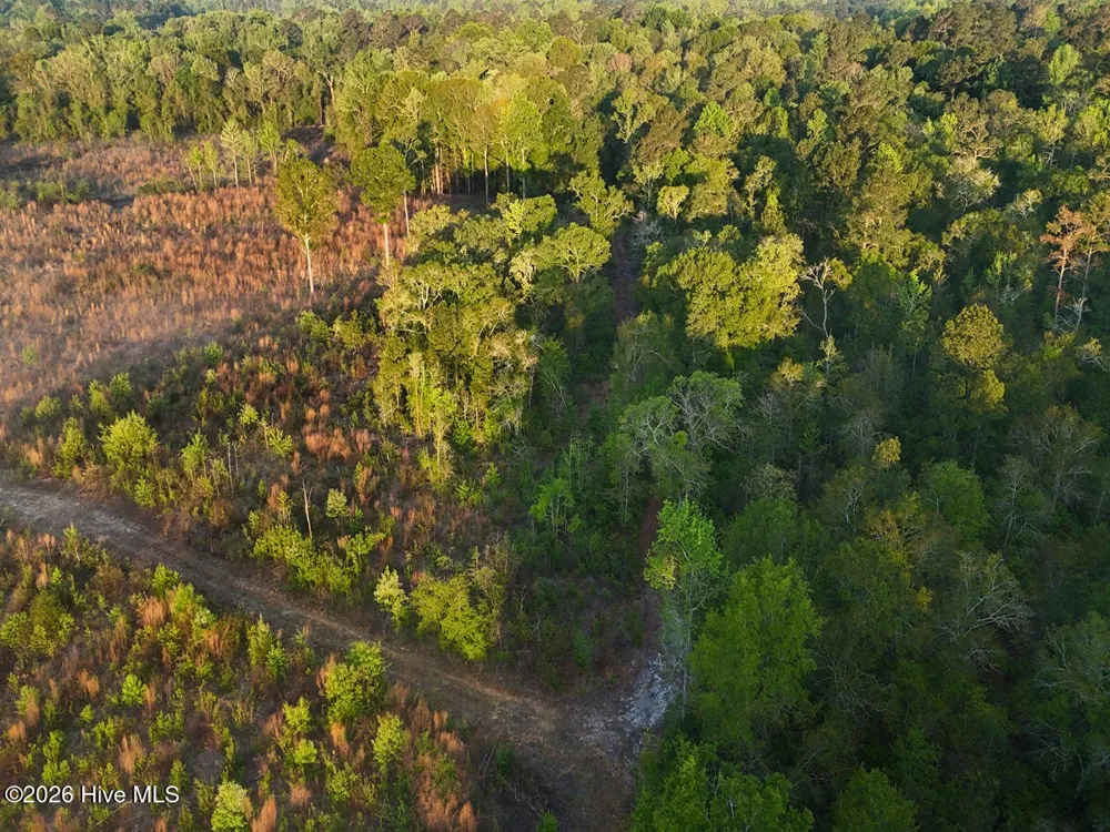 0 Durwood Evans Road Beulaville, NC 28518