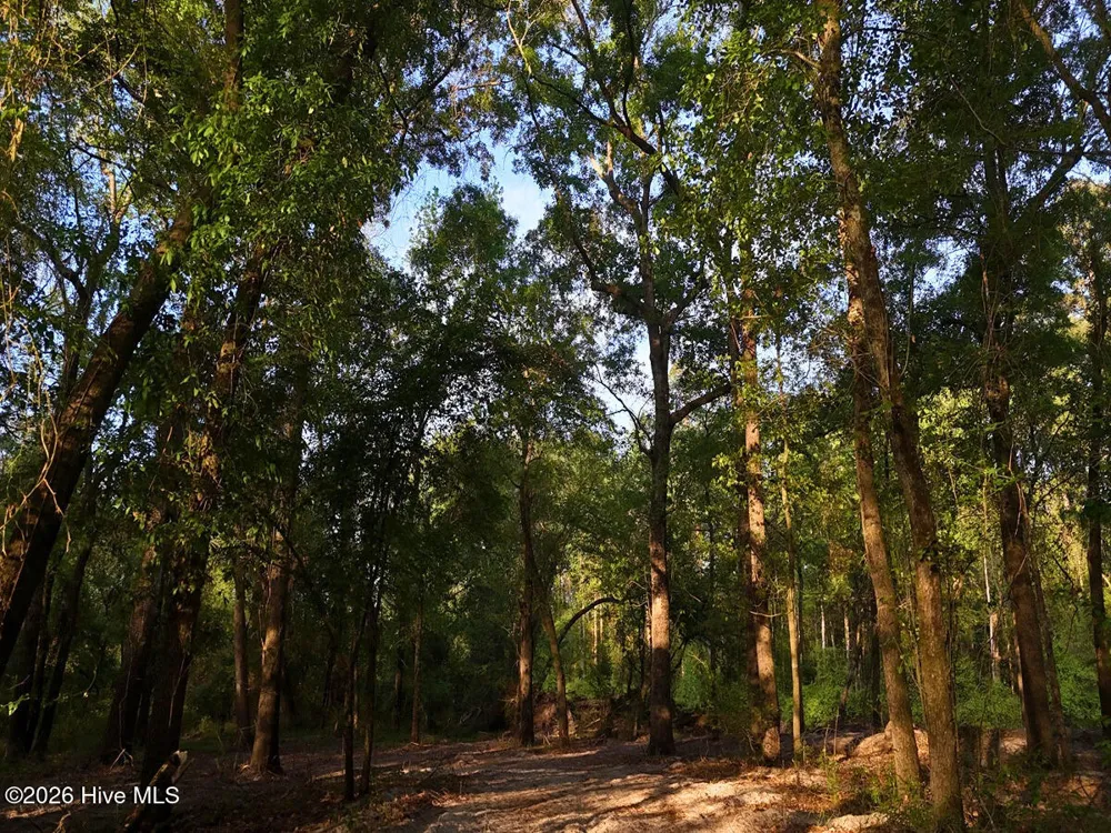 0 Durwood Evans Road Beulaville, NC 28518