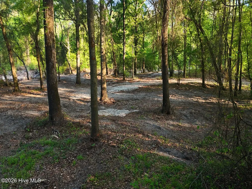 0 Durwood Evans Road Beulaville, NC 28518
