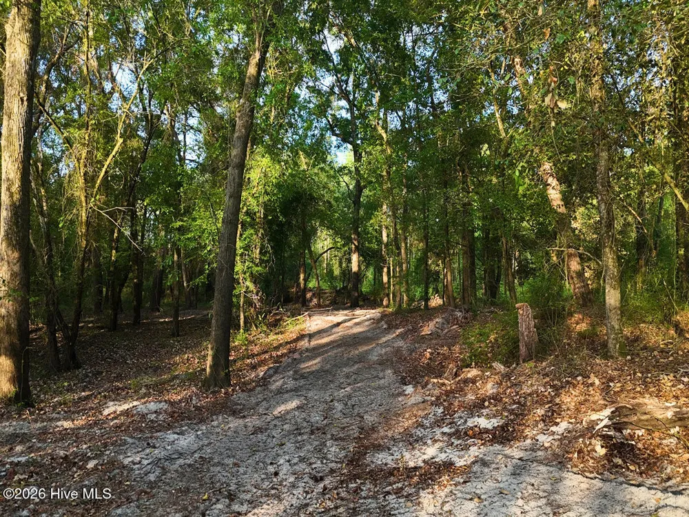 0 Durwood Evans Road Beulaville, NC 28518