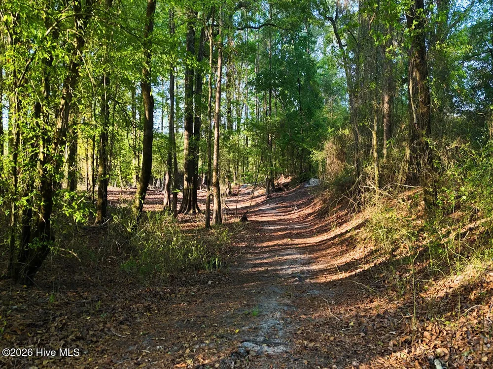 0 Durwood Evans Road Beulaville, NC 28518