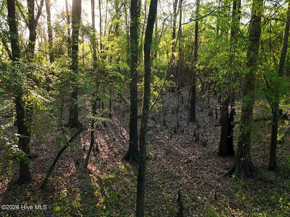 0 Durwood Evans Road Beulaville, NC 28518