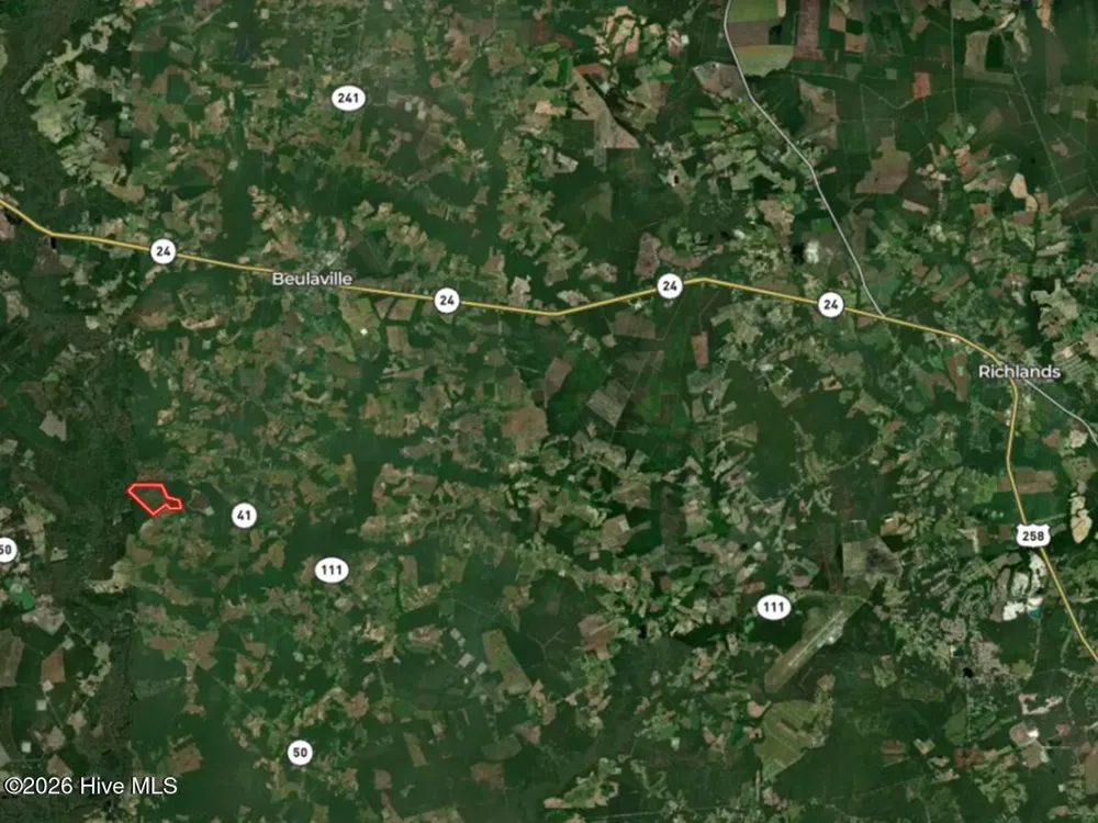 0 Durwood Evans Road Beulaville, NC 28518