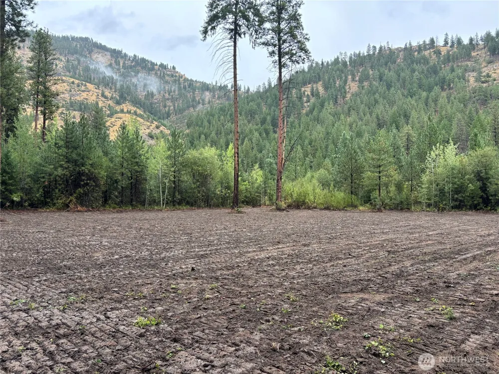 14216 Entiat River Rd Entiat, WA 98822