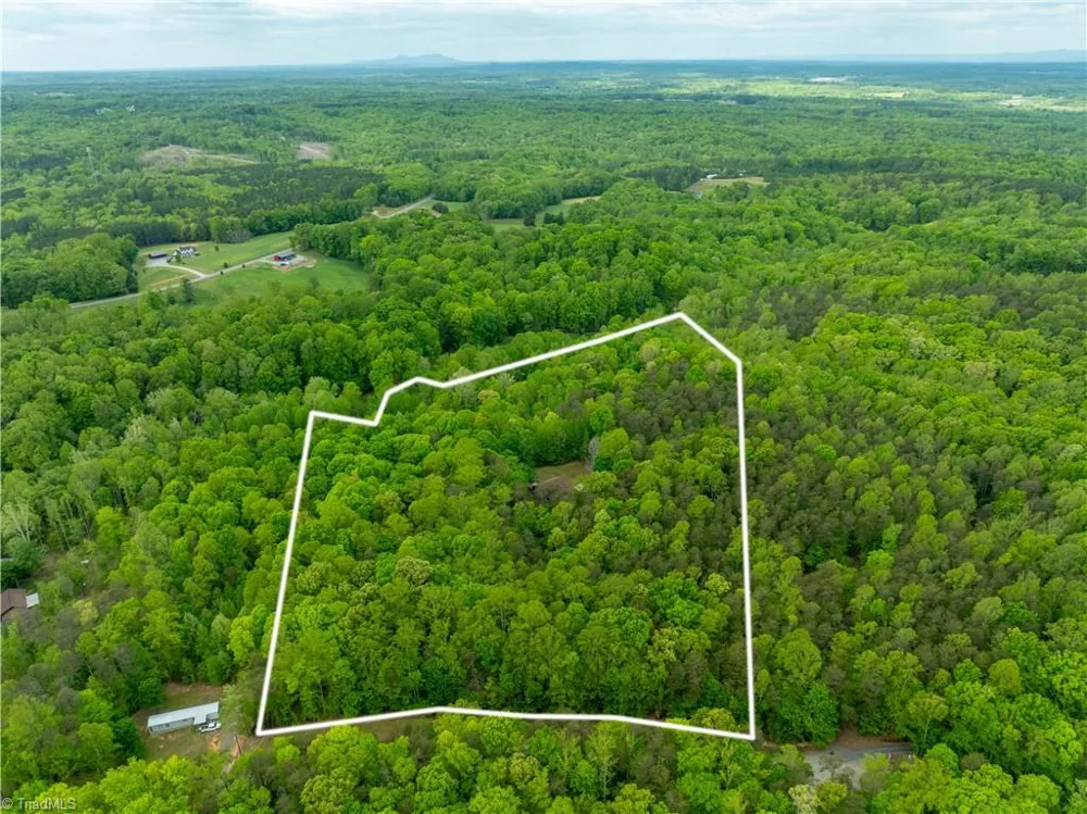 340 Bear Branch Trail Reidsville, NC 27620