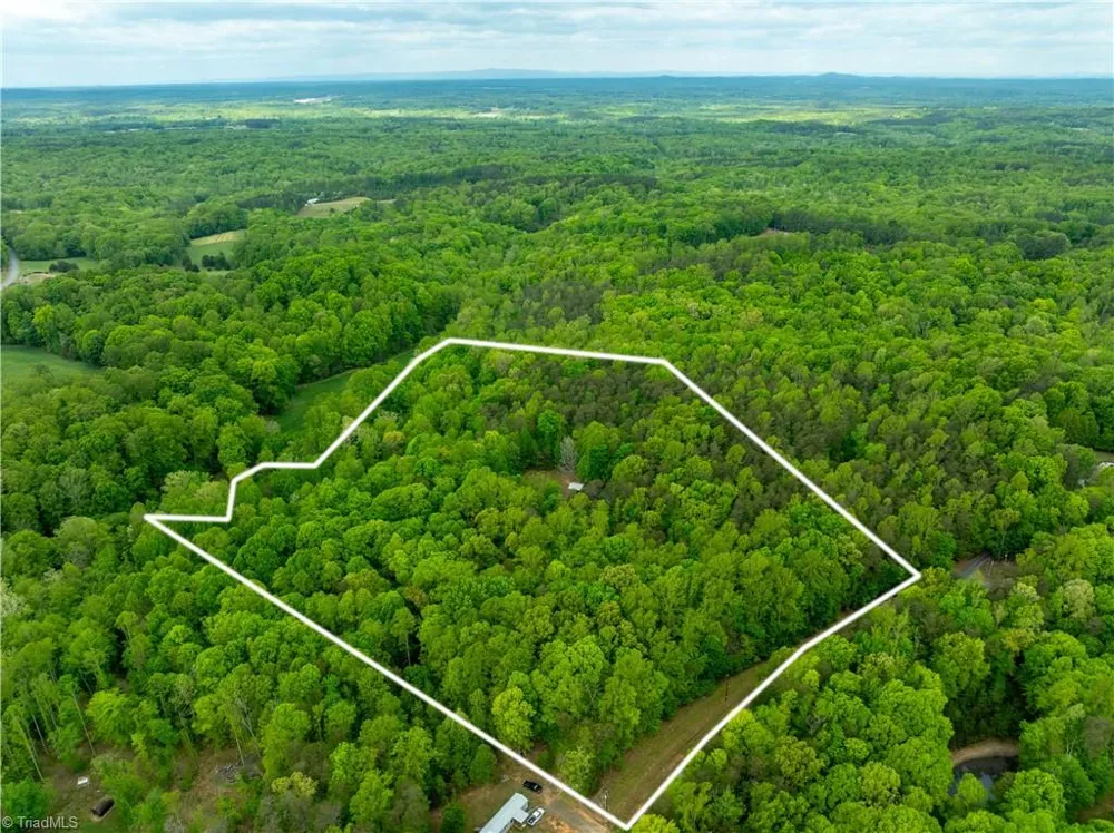 340 Bear Branch Trail Reidsville, NC 27620