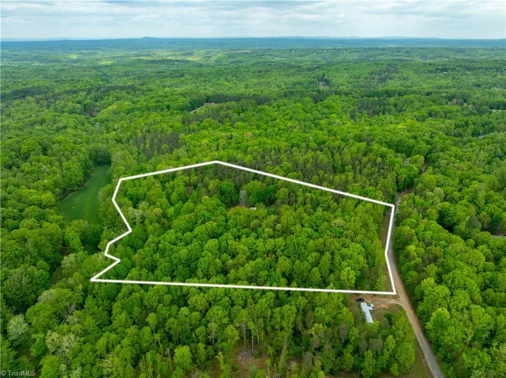 340 Bear Branch Trail Reidsville, NC 27620