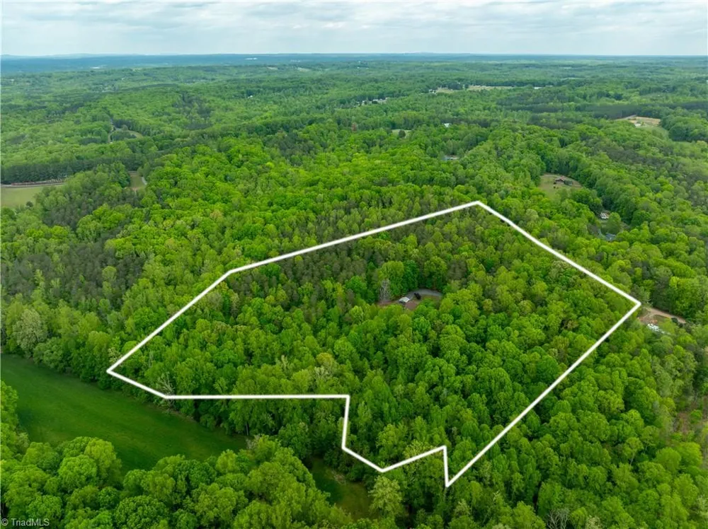 340 Bear Branch Trail Reidsville, NC 27620