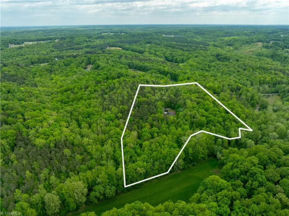 340 Bear Branch Trail Reidsville, NC 27620