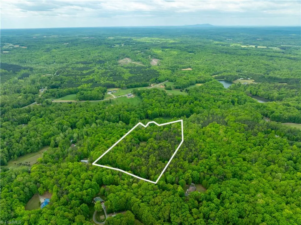 340 Bear Branch Trail Reidsville, NC 27620