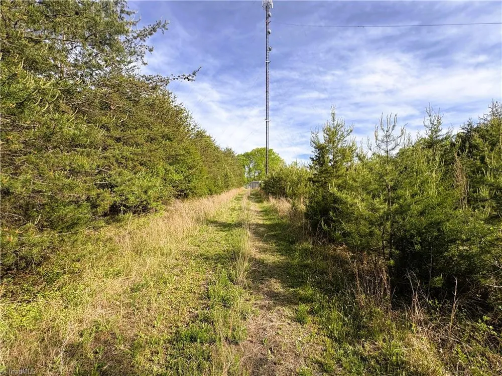 521 Matrimony Road Eden, NC 27288