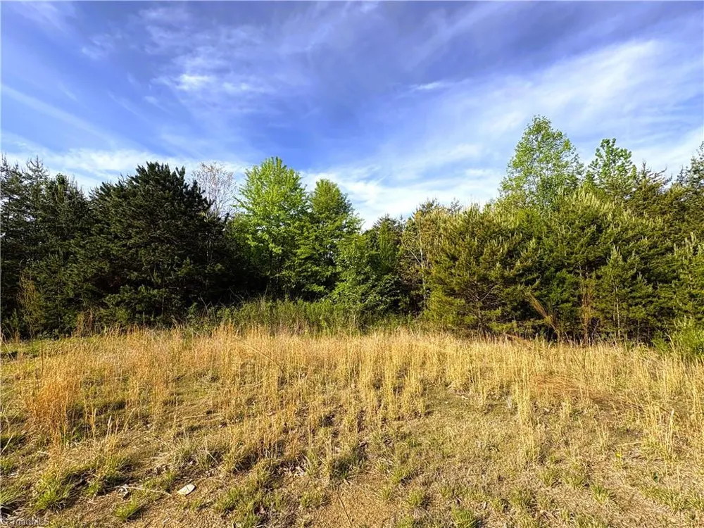 521 Matrimony Road Eden, NC 27288