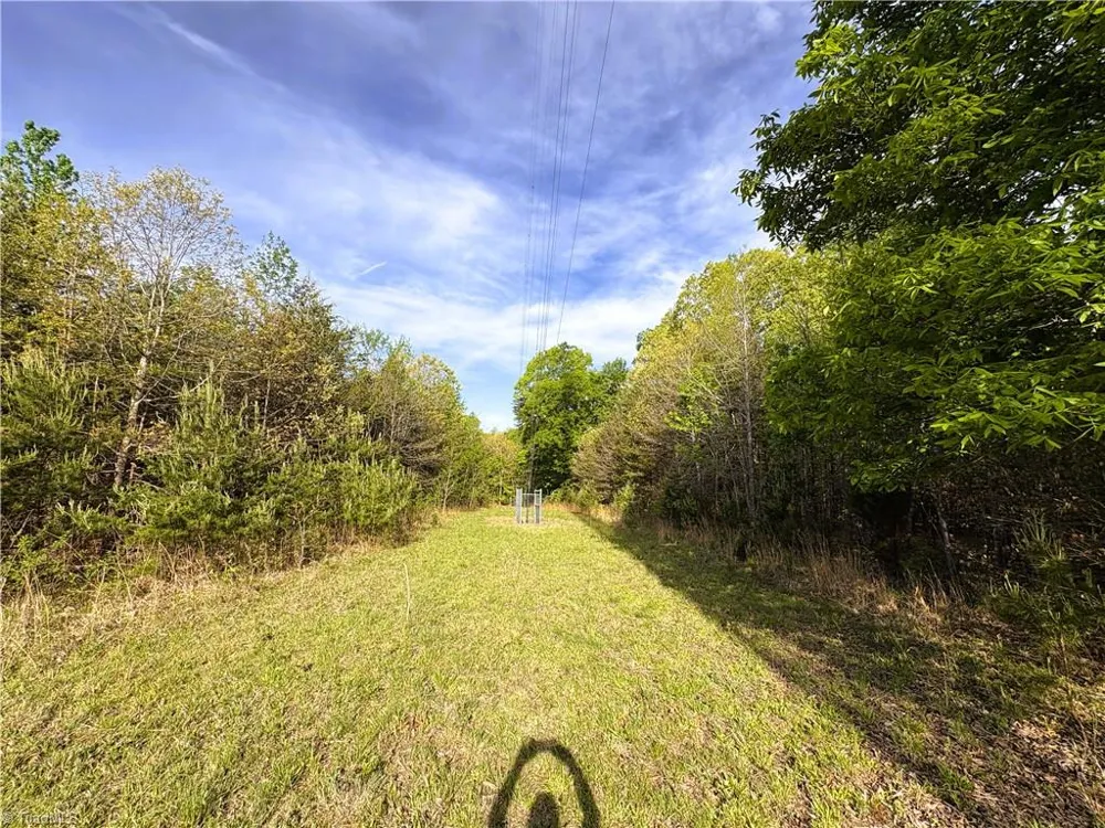 521 Matrimony Road Eden, NC 27288