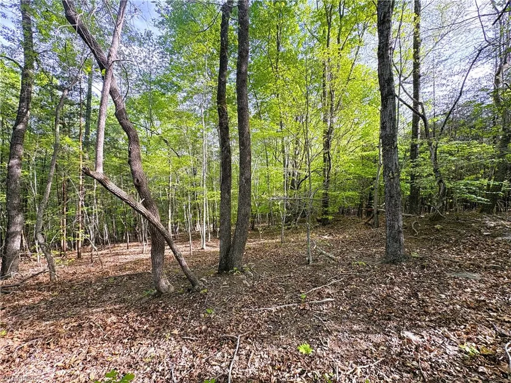 521 Matrimony Road Eden, NC 27288