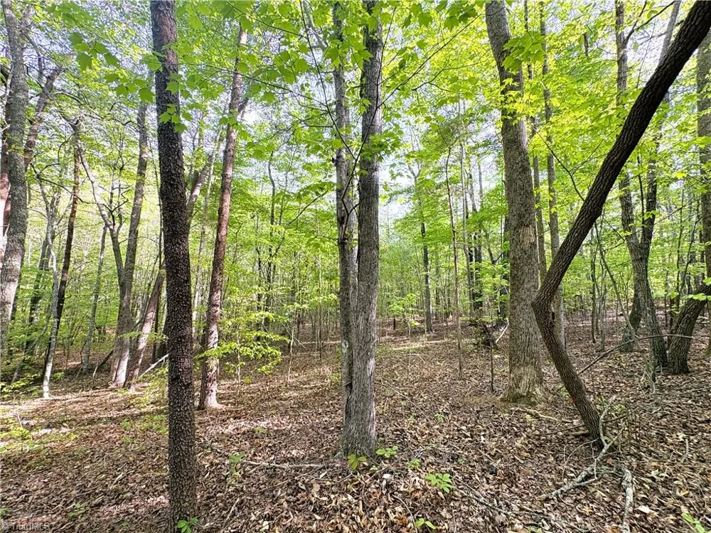 521 Matrimony Road Eden, NC 27288