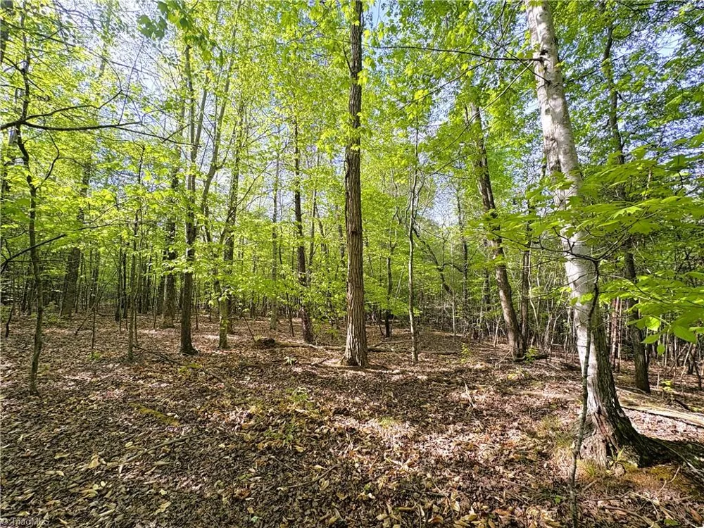 521 Matrimony Road Eden, NC 27288