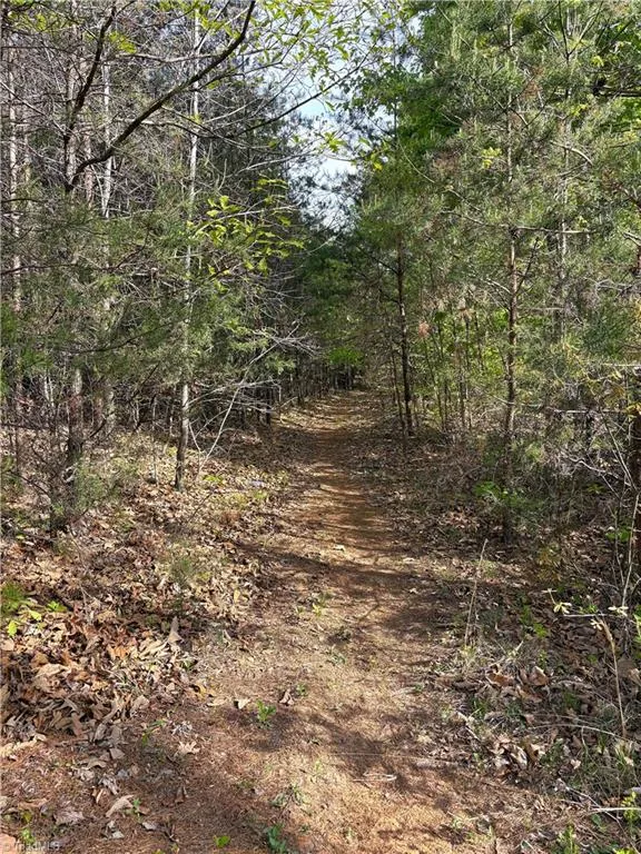 521 Matrimony Road Eden, NC 27288