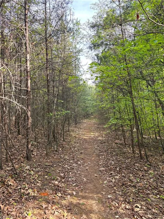 521 Matrimony Road Eden, NC 27288