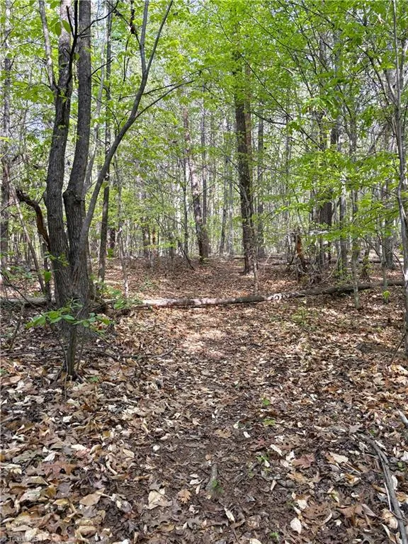 521 Matrimony Road Eden, NC 27288