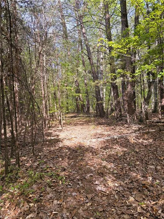 521 Matrimony Road Eden, NC 27288
