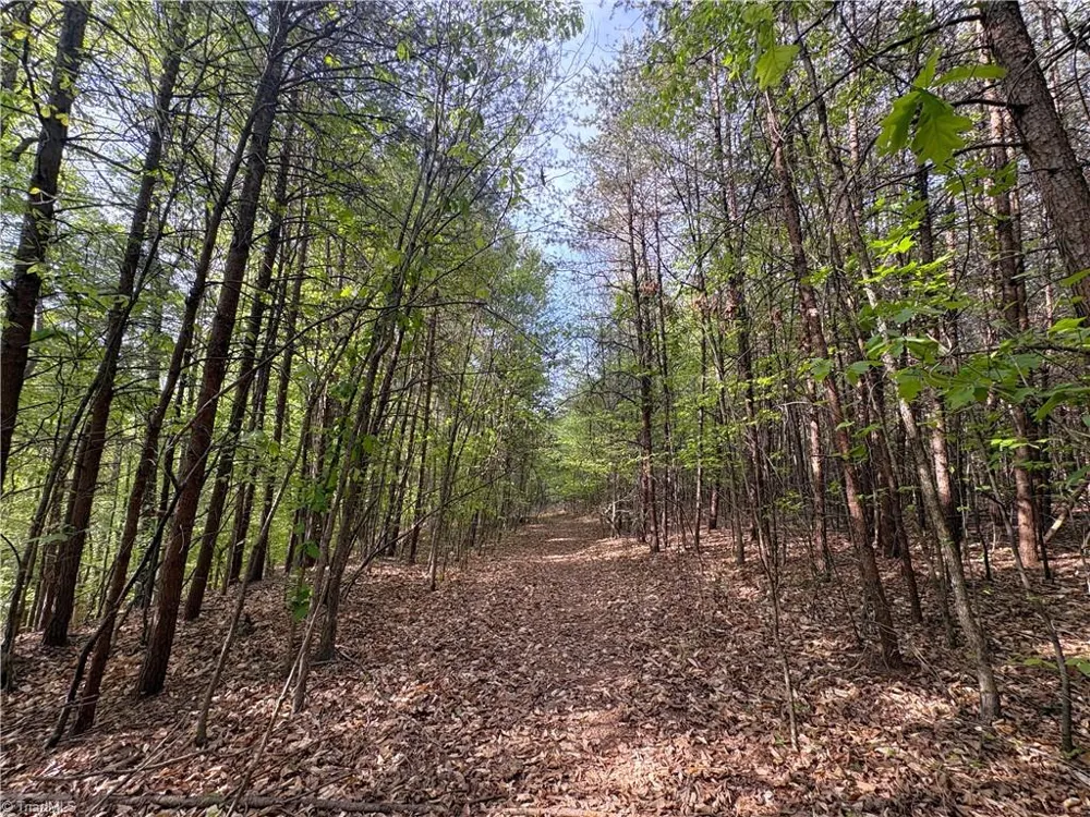 521 Matrimony Road Eden, NC 27288