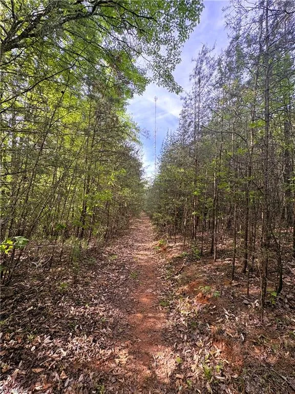 521 Matrimony Road Eden, NC 27288
