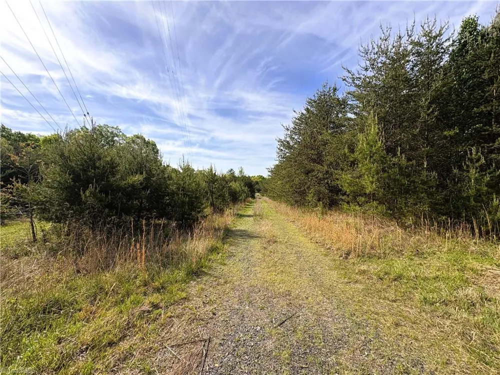 521 Matrimony Road Eden, NC 27288