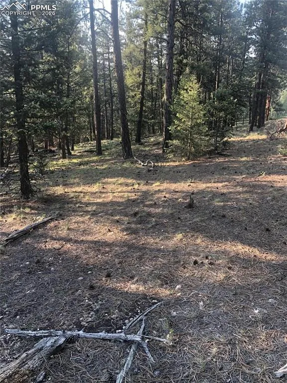 469 Echo Lake Drive Lake George, CO 80827