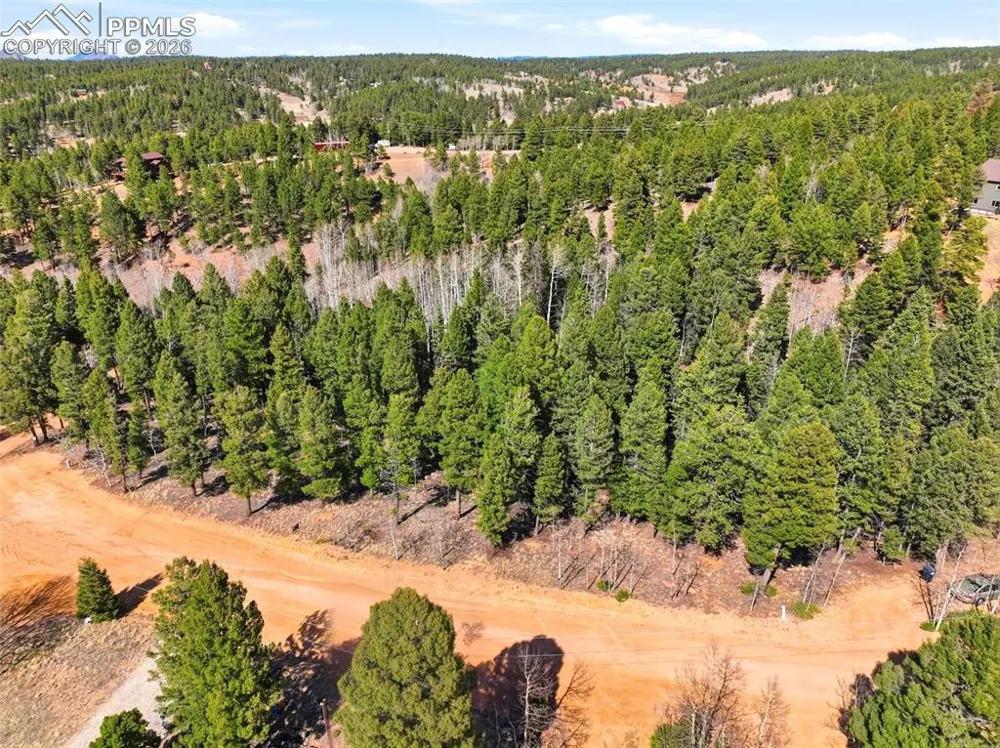 278 Cherry Lake Drive Divide, CO 80814