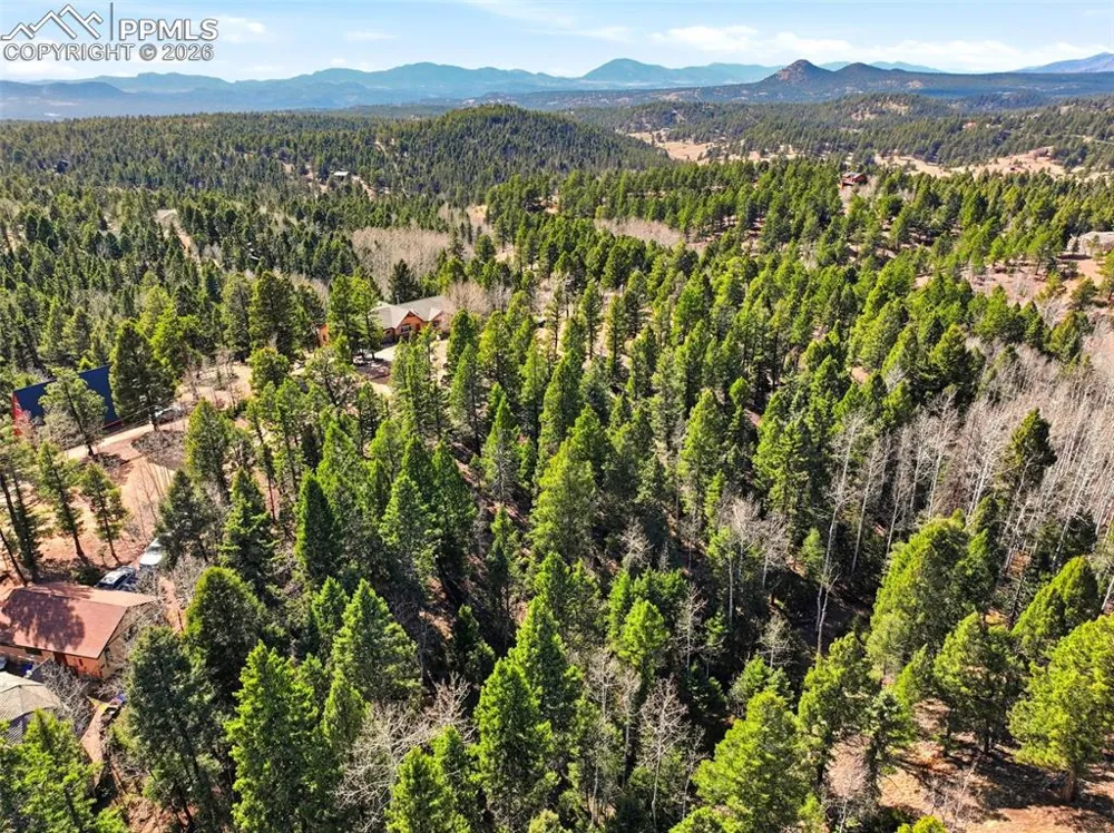 278 Cherry Lake Drive Divide, CO 80814